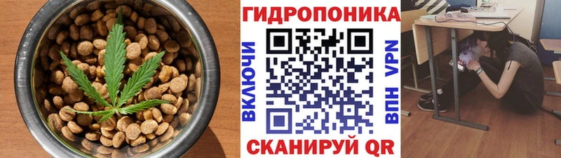 Cannafood конопля  дарнет шоп  Руза 