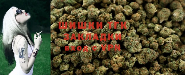 PSILOCYBIN Абаза