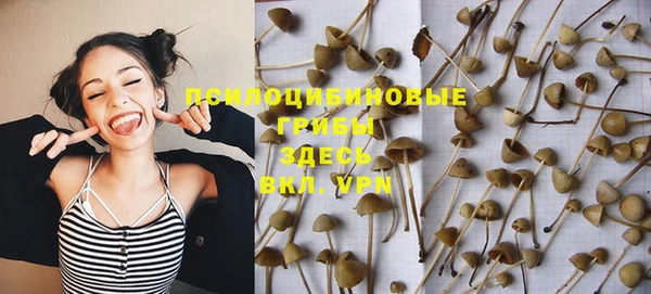 PSILOCYBIN Абаза