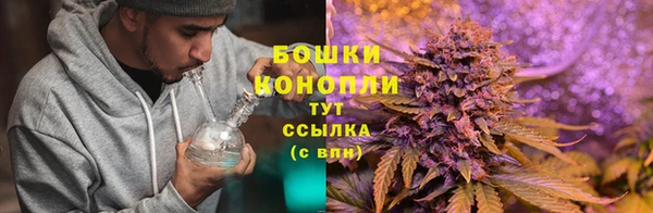 PSILOCYBIN Абаза