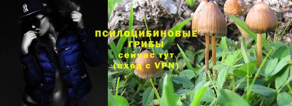 PSILOCYBIN Абаза