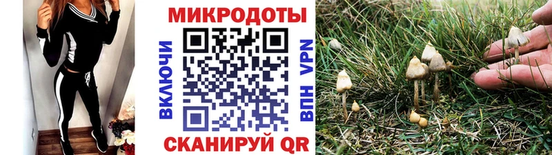 Псилоцибиновые грибы Cubensis  hydra сайт  Руза  купить наркоту 